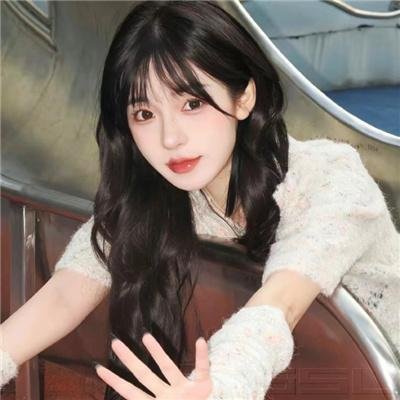 凤舞龙翔